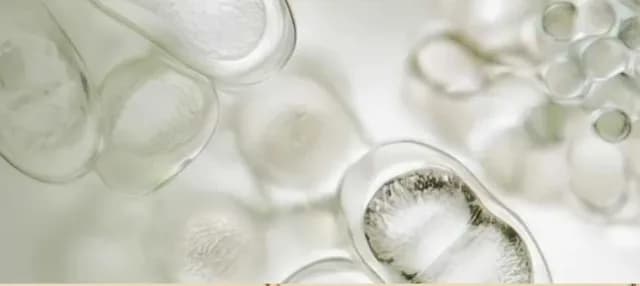 Zinc PCA